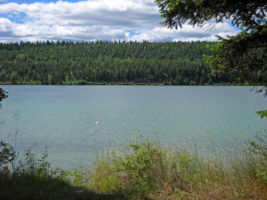 Fraser River - British Columbia, Kanada.
In diesem Fluß lebt ein Fisch, der ca. 6 m lang und ca. 150 Jahre alt wird. Leider konnte ich den Namen nicht in Erfahrung bringen.