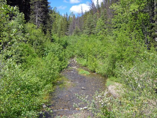 Barkerville: Rolf wandert zu dem abseits gelegenen Courthouse durch eine wunderschöne Landschaft.