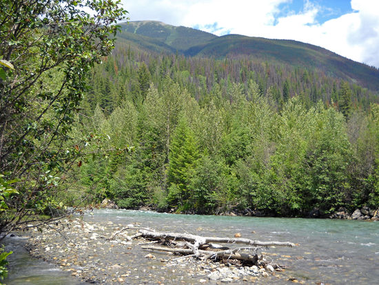 Wir sind auf dem Weg nach Prince George, BC, Kanada.