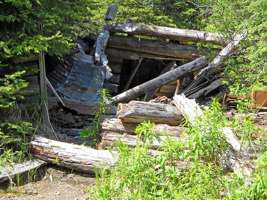 Ein alter Mineneingang in der Nähe von Barkerville.