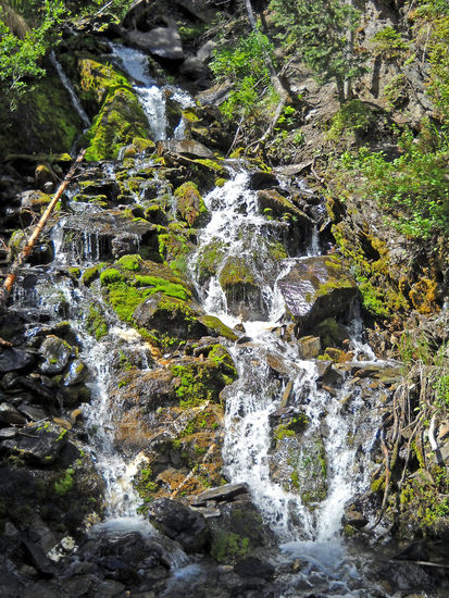 Wilde Gegend um Barkerville.