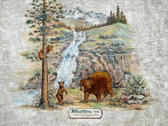 Im Whistlers Inn in Jasper bekamen wir ein "günstiges" Zimmer, zum Hinterhof gelegen, klein (nur für eine Person gedacht) zum Preis von 154 kanad. Dollar.