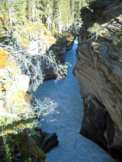 Athabasca-Falls (23 m) am Icefield Parkway