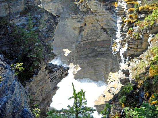 Athabasca-Falls - man könnte hier x Fotos machen