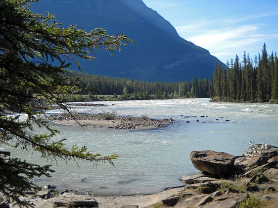 Sunwapta River am Icefield Parkway