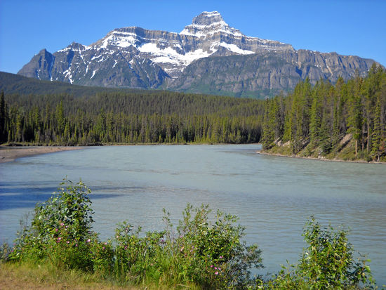 Blick vom Icefield Parkway