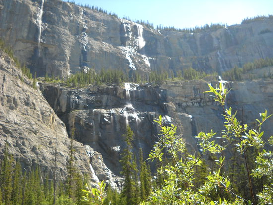 "Weeping Wall" - "Weinende Wand" am Icefield Parkway