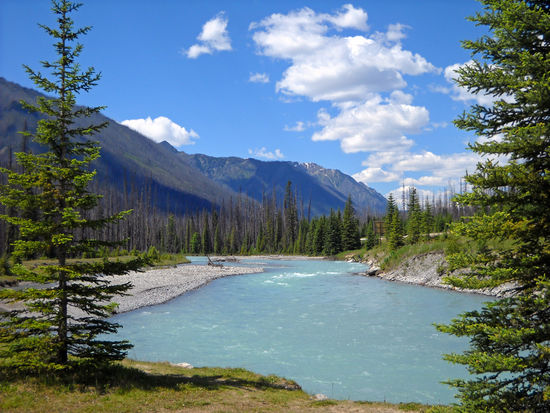 Blick vom Icefield Parkway