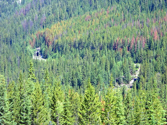 Blick auf die "Spiral Tunnels"