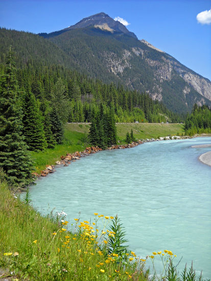 Kicking Horse River im Yoho National Park.