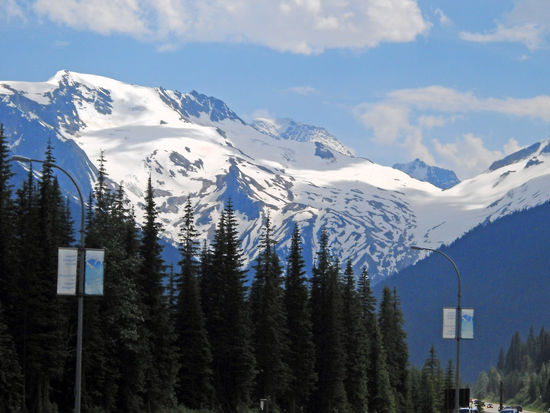 Glacier NP - Blick vom Rogers Pass (1.330 m)  auf die hohen Berge.
