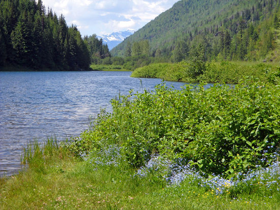 Blick von der herrlichen kurvigen Straße nach Kootenay Bay - ein Tipp des Kanadiers, besonders für Motorradfahrer.