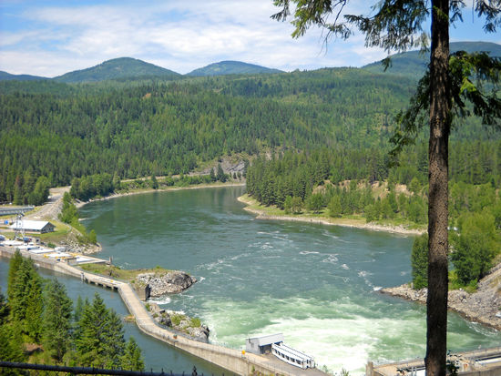 Box Canyon Damm - staut den Pend Oreille River auf.
Im Naturschutzgebiet um den Damm leben noch sehr viele Weißkopfadler.
