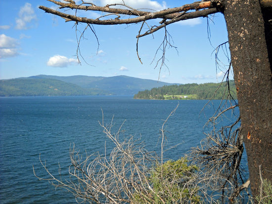 Der Pend Oreille Lake ist der größte See Idahos, 105 km lang und bis zu 350 m tief. Wir fahren an dem schönen See eine zeitlang entlang, bis wir nach Sandpoint kommen.