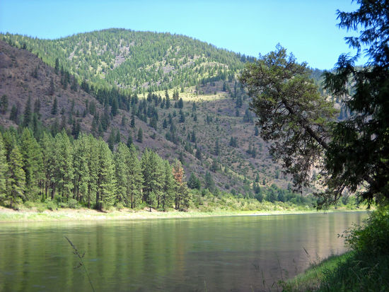Entlang am Clark Fork River - dieser schöne Fluß ist 500 km lang.