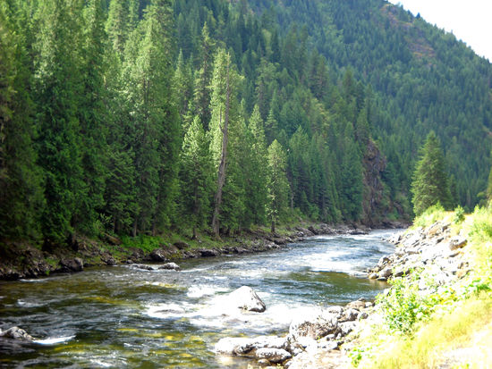Auf dem HW 12 - Nez Perce Trail / Lewis &amp; Clark Trail - nach dem Lolo-Pass, 1.596 m, Blick auf den Clearwater River. Nur wenige Fußgängerbrücken ermöglichen den Übergang über den Fluß, um in die dahinter liegende "Wilderness" zu gelangen.