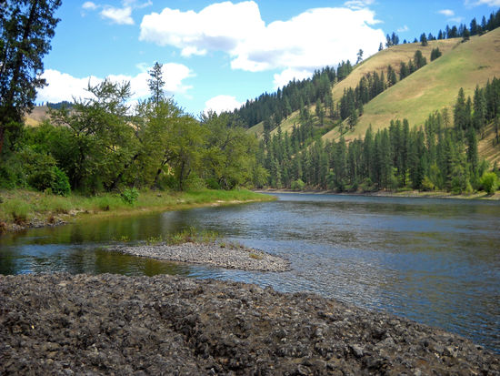 Der Lochsa River (raues Wasser) in der Nähe von Kooskia.