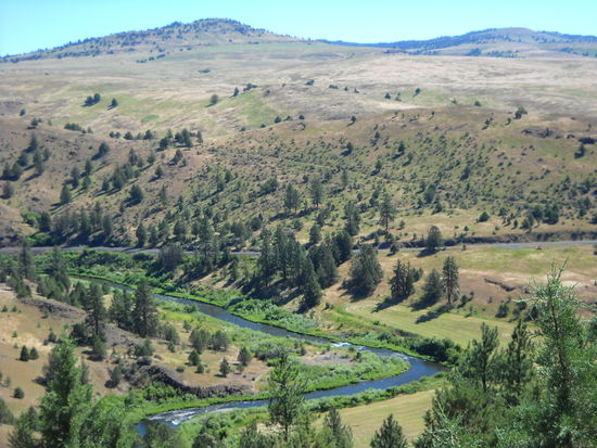 Blick von Long Creek auf die Blue Mountains.