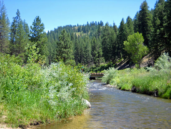 Auf dem Ponderosa Scenic Byway - Richtung Idaho City.