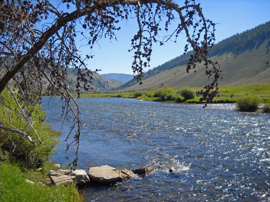 Das obere Tal des Salmon Rivers - landschaftlich ein Genuß und ein Eldorado für Motorradfahrer.