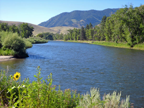 Wir folgen dem Lewis &amp; Clark Trail, am Salmon River entlang. zum Lost Trail Pass.