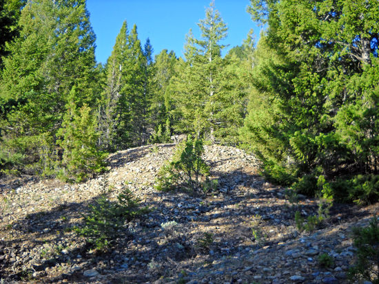 In der näheren Umgebung haben die Goldgräber die ganze Landschaft umgebuddelt. Red gräbt hier auch manchmal nach "Schätzen". Sein Haus ist fast ein Museum.