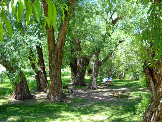Wilder Park in Virginia City. Die Stadt erwacht nur von Mai bis September zum Leben durch die Touristen. In den anderen Monaten sind die wenigen Einwohner unter sich.
