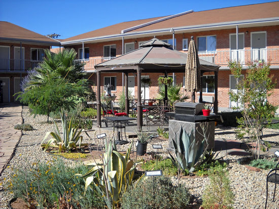 Las Cruces, NM - Americas Best Value - Kakteengarten im Innenhof.
