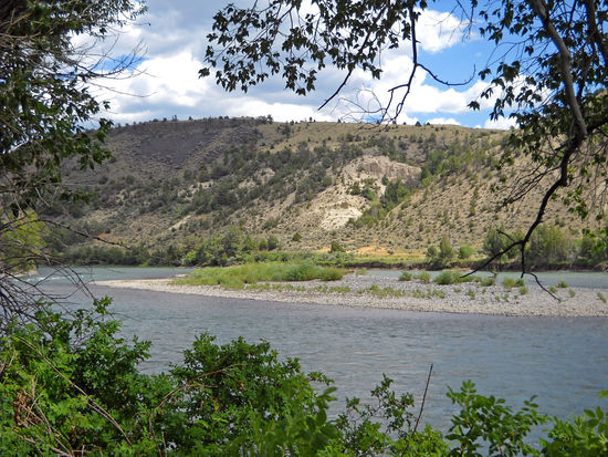 Am Yellowstone-River - leider gab es hier Unmengen von Mücken.