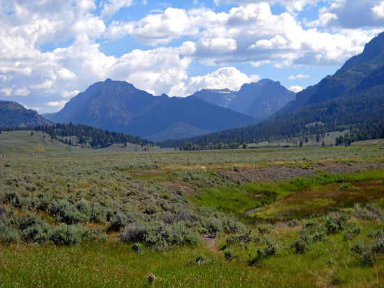 Im Yellowstone National Park, frühmorgens.