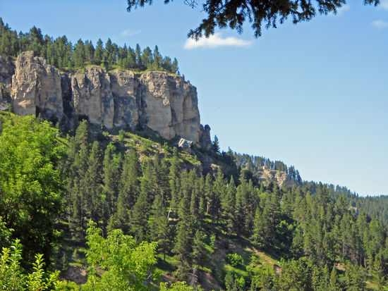 Spearfish Canyon, eine tiefe, sehr enge Schlucht, geschaffen vom Spearfish Creek am nördlichen Rand des Black Hills National Forest.