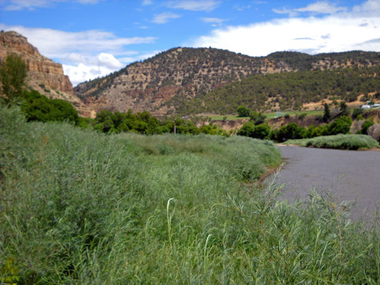 Colorado River auf dem Weg nach Glenwood Springs.