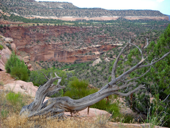 Gateway Canyon
