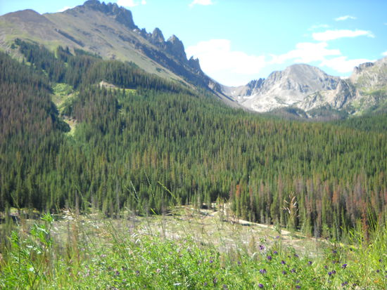 Scenic Wyoming Highway 130 durch den Medicine Bow National Forest