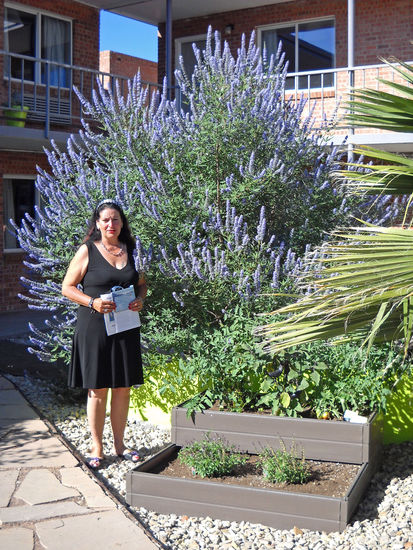 Garten im Americas Best Value in Las Cruces - vor 4 Jahren waren die Pflanzen hier winzig!