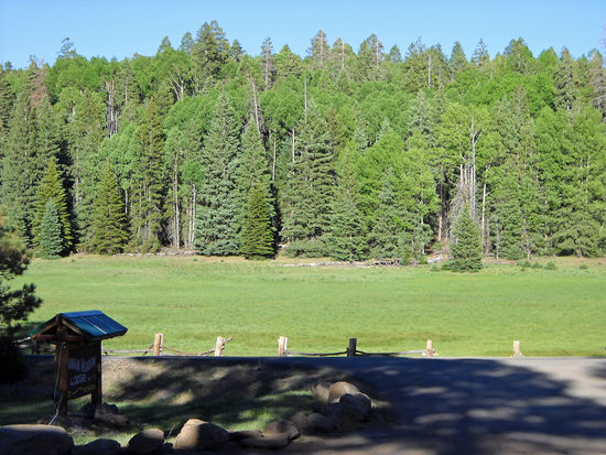 BLick von der  Veranda in Hannagan Meadows auf die Wiesen - abends traten Rehe aus dem Dickicht - ein Ort, um zur Ruhe zu kommen.