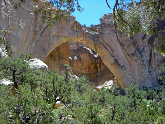 La Ventana Natural Arch - ein natürlicher Sandsteinbogen mit einer Spannweite von 41 m im El Malpais National Monument in der Cebolla Wildernis.
