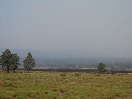 Nach einem verheerenden Waldbrand, verursacht durch ein Campingfeuer, in der Nähe von Flagstaff. Alles ist noch voller Rauch.