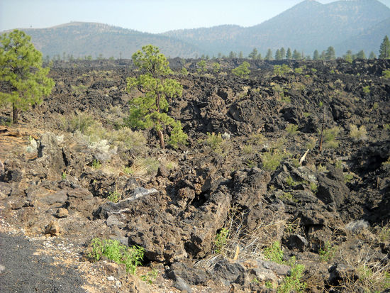 Im Sunset Crater Volcano NM - eine fast schwarze Landschaft - verursacht durch den Ausbruch eines Vulkans.