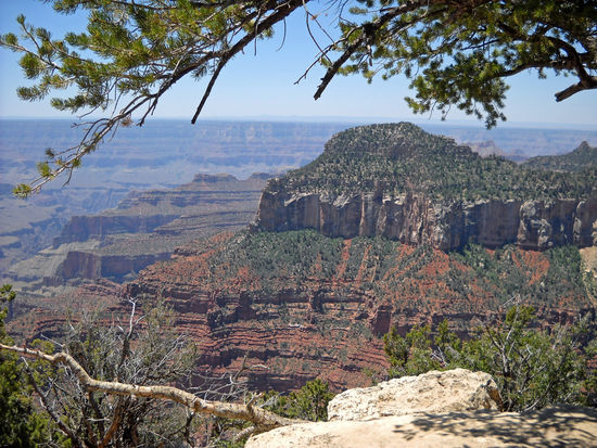 North Rim - Grand Canyon