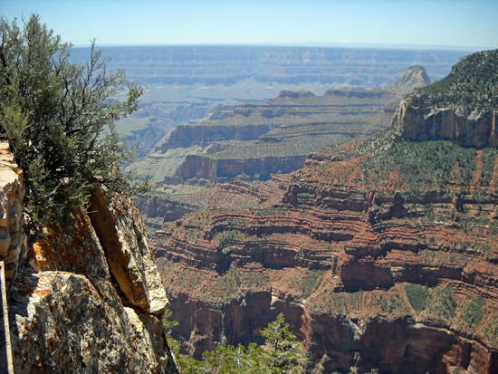 North Rim Grand Canyon