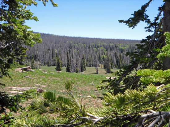 Auf dem Weg nach Beaver - Utah.