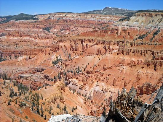 Cedar Breaks - nicht weniger schön als Bryce Canyon.
