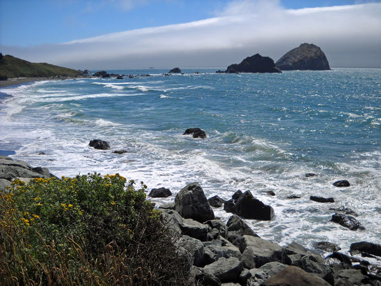 Die wilde Oregon-Küste.