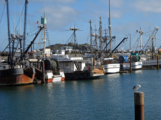 Hafen von Crescent City.