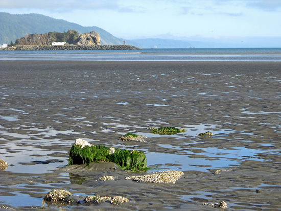 Ebbe am Strand von Crescent City.