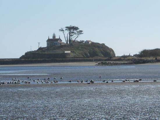 Strand von Crescent City.