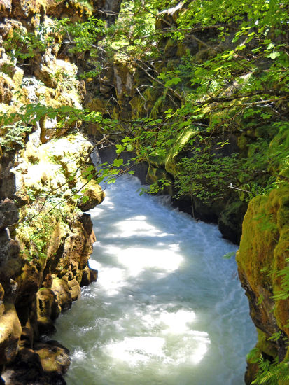 Rogue River Gorge