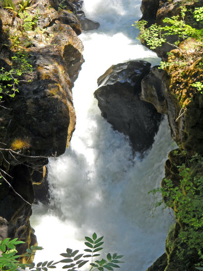 Rogue River Gorge