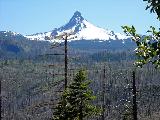Mount Washington (2.376 m) - ein Berg der Cascade Range. ähnelt dem Matterhorn.